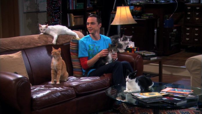 The big bang theory