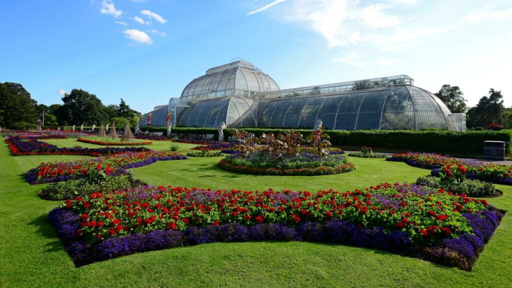 Hideaway Cinema Palm House, Kew Gardens / Thom Hudson