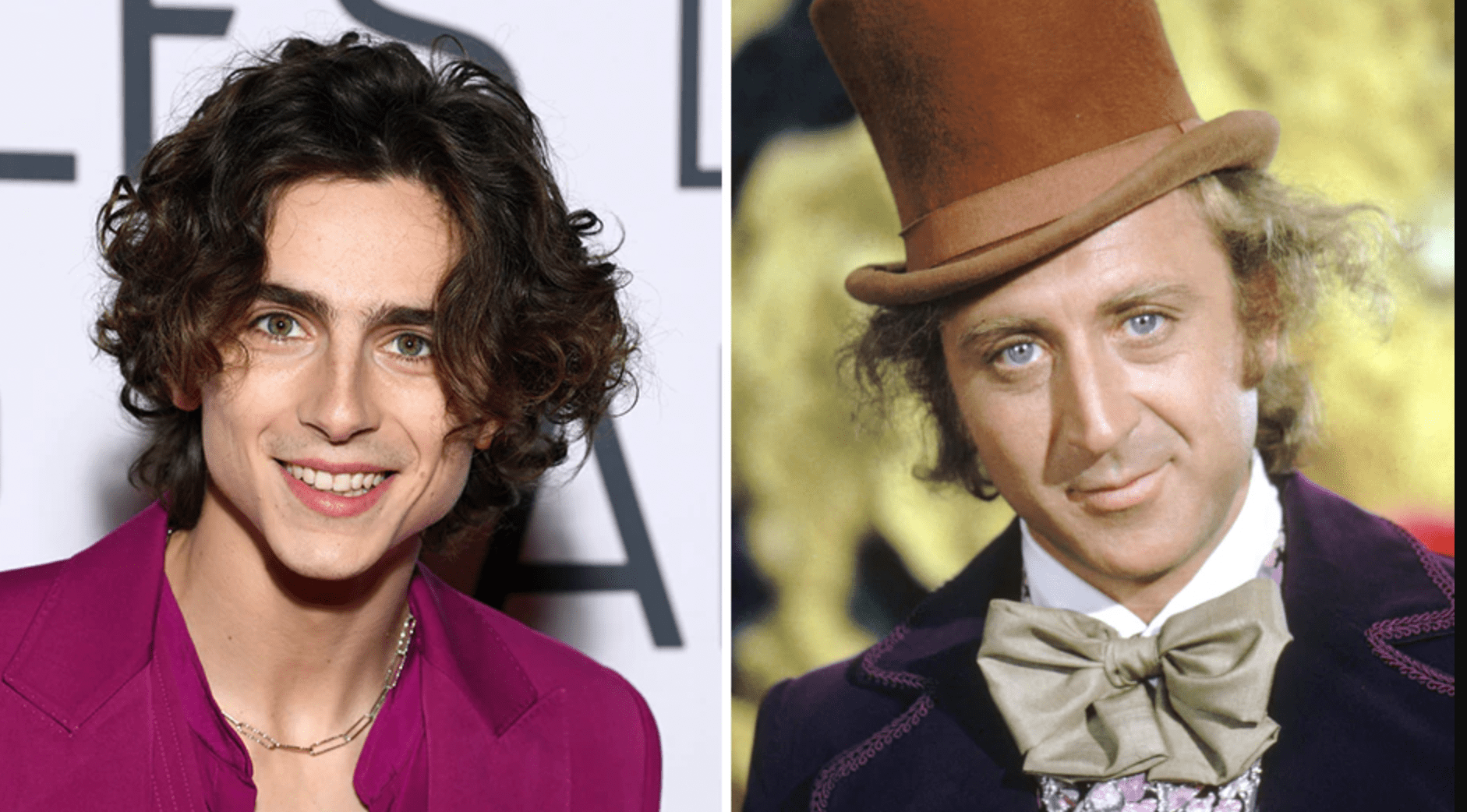Timothée Chalamet sarà Willy Wonka nel film prequel! - Ciak Magazine