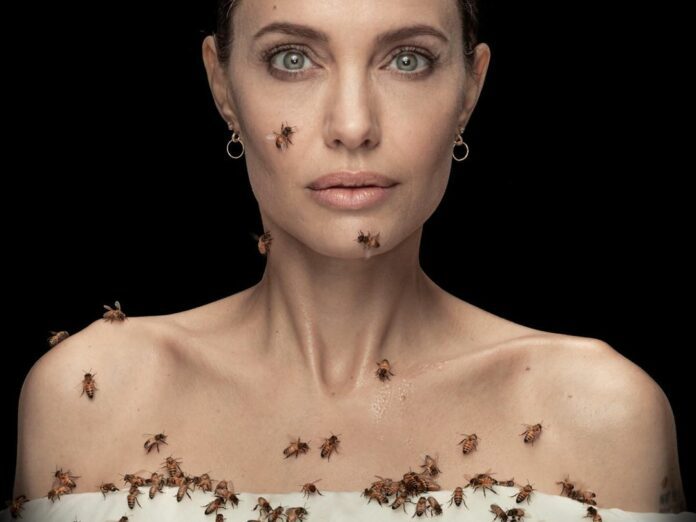 Angelina Jolie World Bee Day