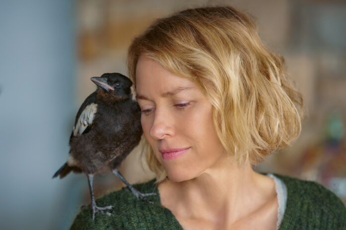 Penguin Bloom - Naomi Watts