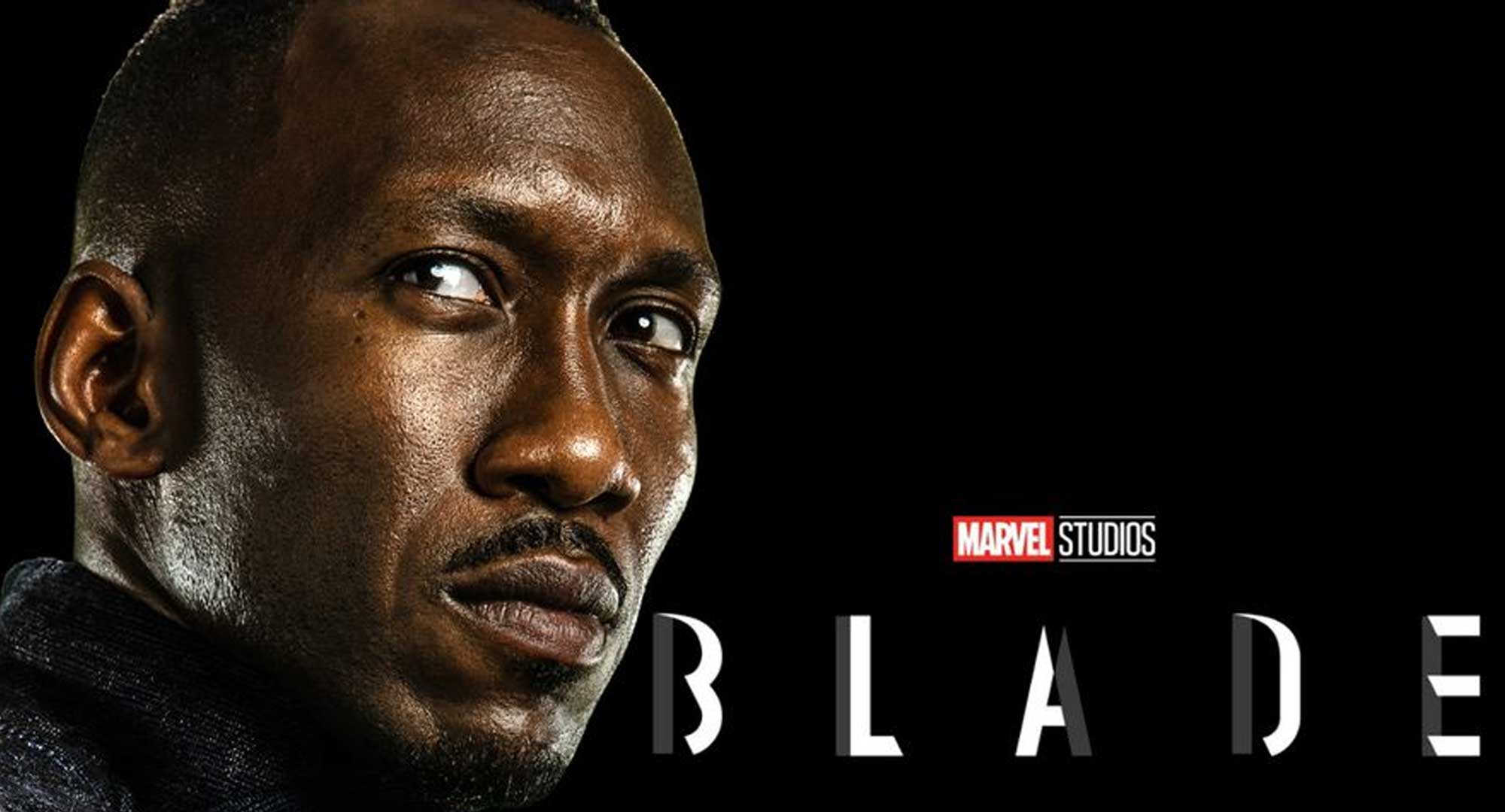 Blade Game Release Date 2025 Melly Sonnnie