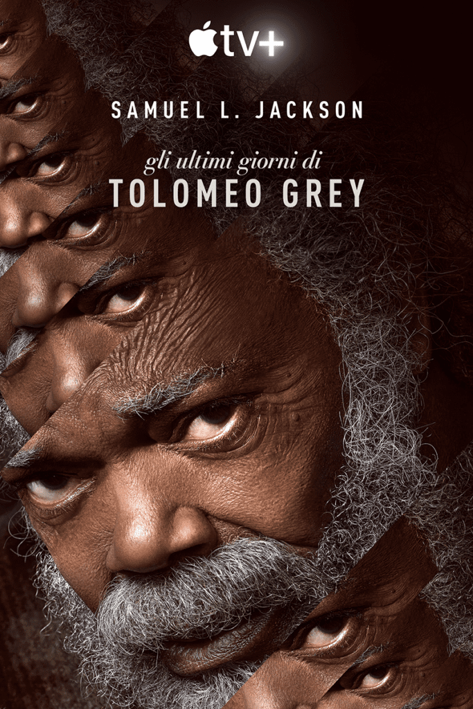 tolomei grey
