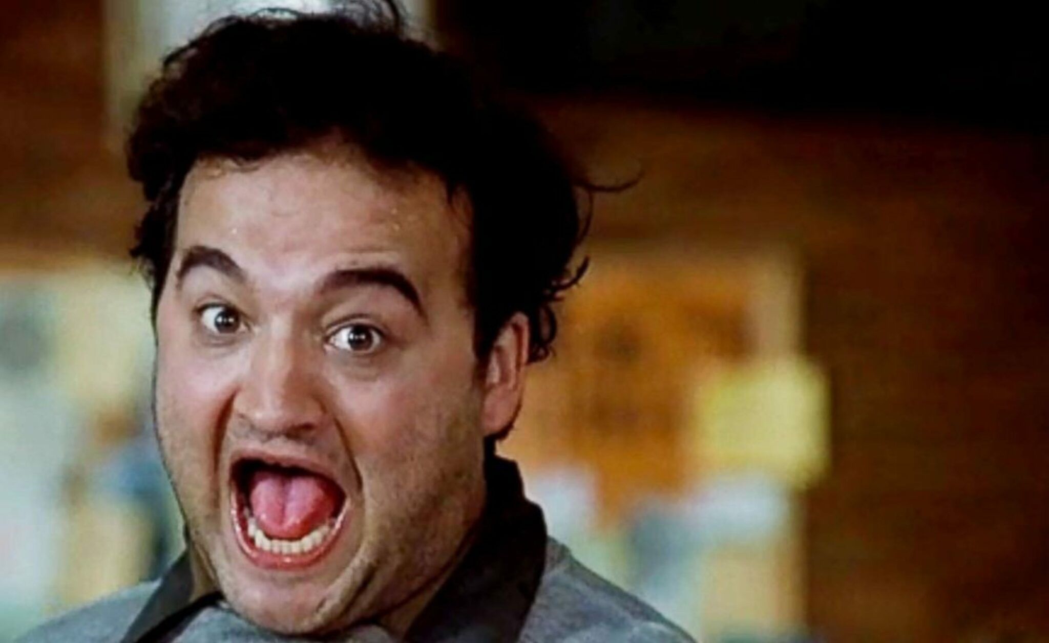 Animal House, o come Bluto & Co. cambiarono la commedia Ciak Magazine