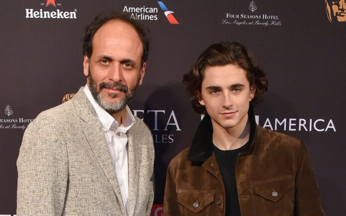 Luca Guadagnino Timothee Chalamet