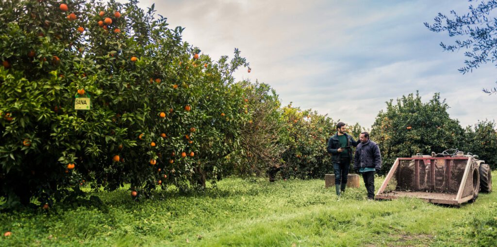 Biofarm Giffoni 2022