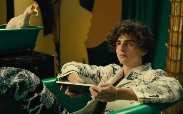 Call Me, Timothée Chalamet Apple TV