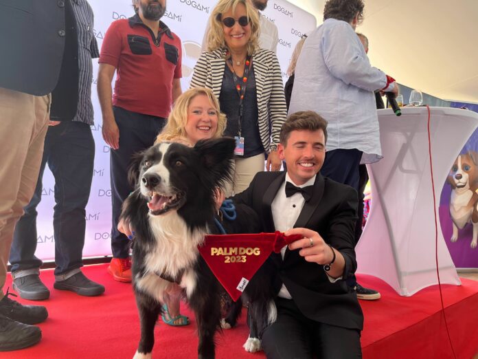 cannes 2023 palm dog