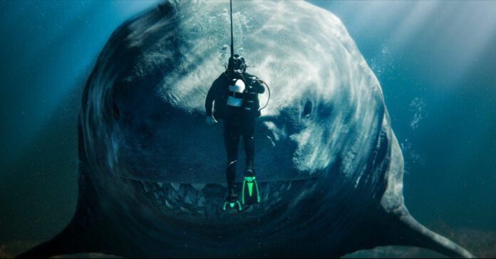 Shark 2