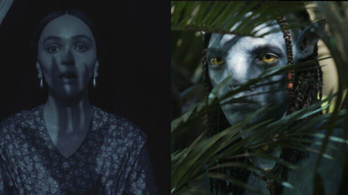 Nosferatu e Avatar 3