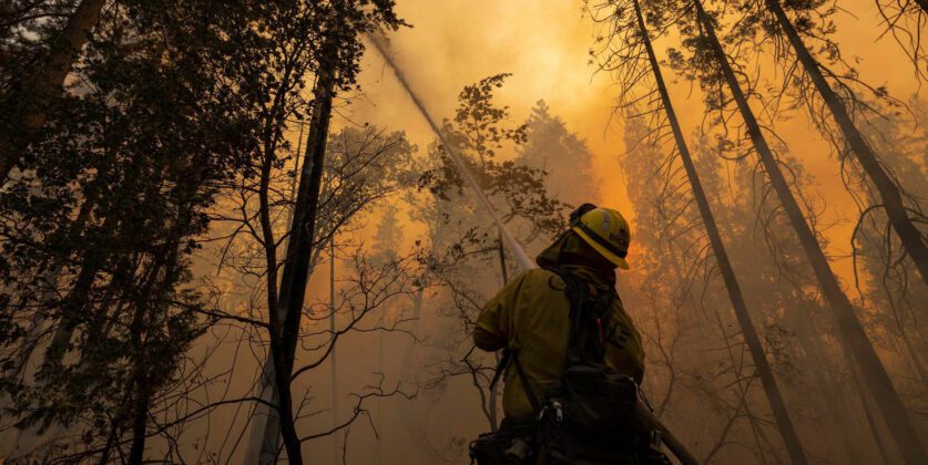 Arte cambiamento climatico