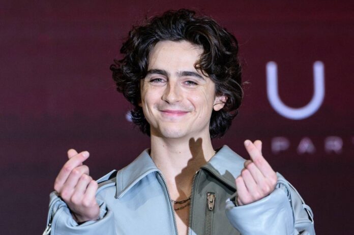 Timothée Chalamet