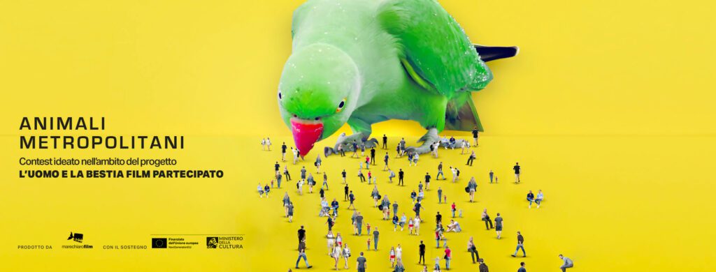 Animali metropolitani