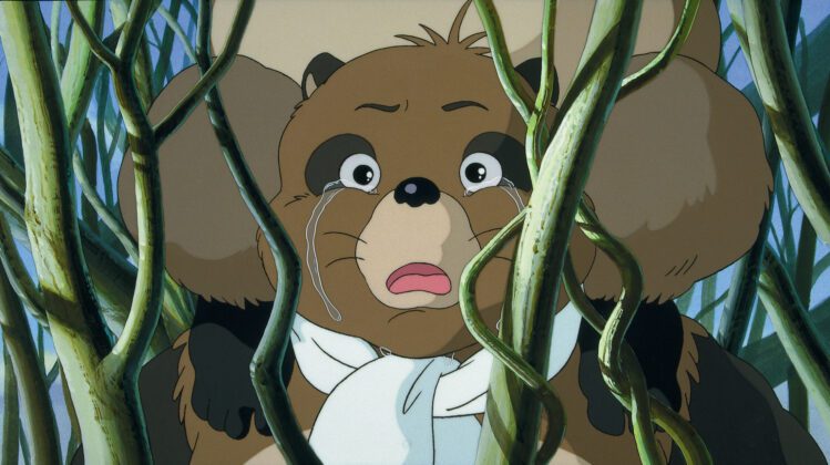 Pom Poko Studio Ghibli Lucky Red