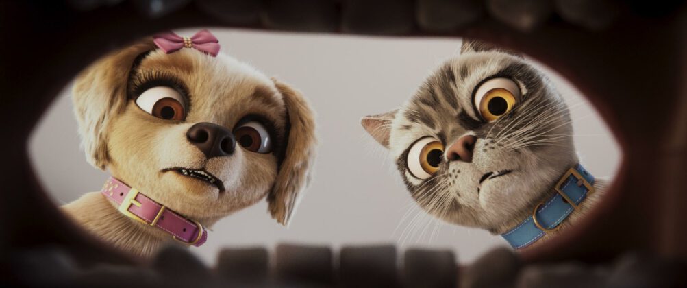 Gracie e Pedro
