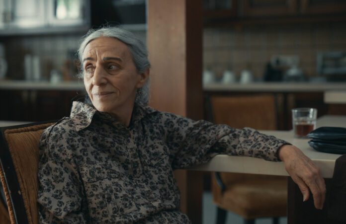 La testimone - Shahed