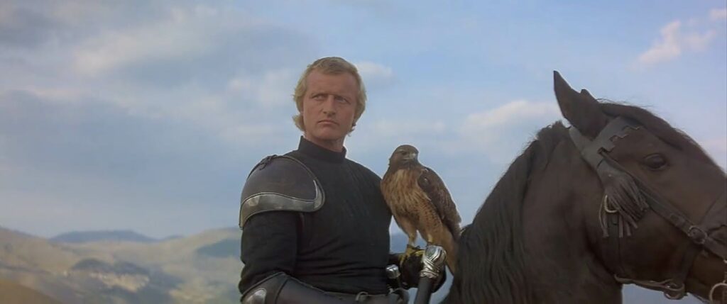 Ladyhawke