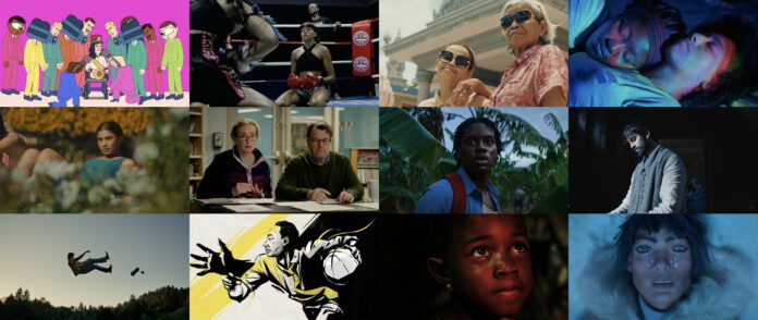 Sundance2025 corti