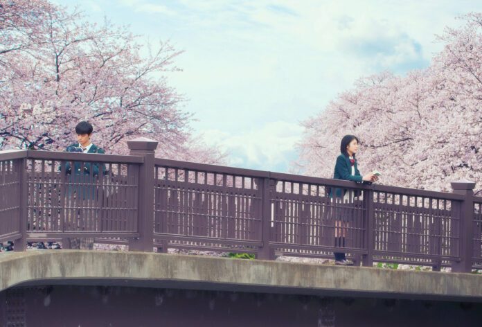 Let me eat your pancreas