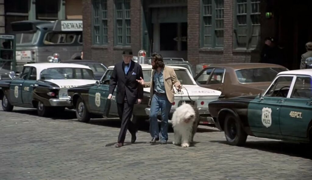 Serpico Al Pacino