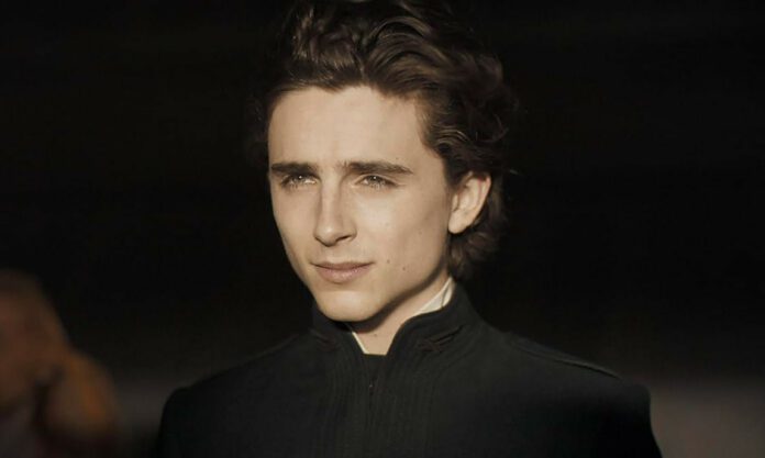 Timothée Chalamet David Speciale