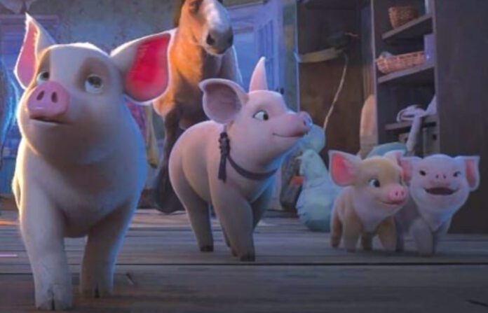 Animal farm