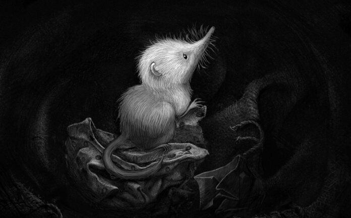 Little Shrew Kate Bush