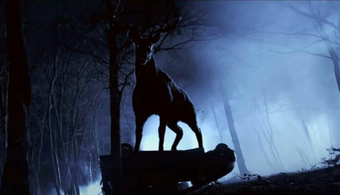 Bambi: The Reckoning